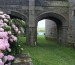 St Mawes castle gardens1