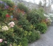St Mawes castle gardens2